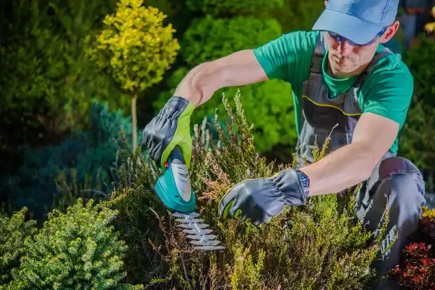landscaping services Horine